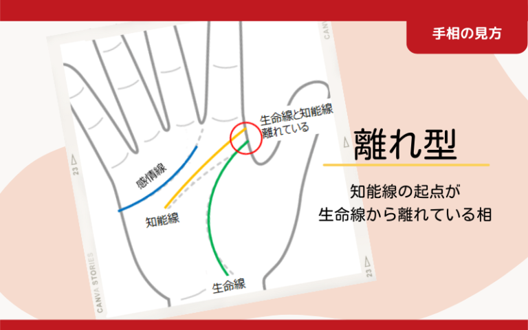 生命線と頭脳線の間, 手相 頭脳線 見方 – SIRUW